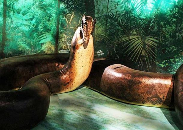 Đặc điểm này khiến các nhà khoa học suy đoán loài rắn Titanoboa chuyên ăn lá.