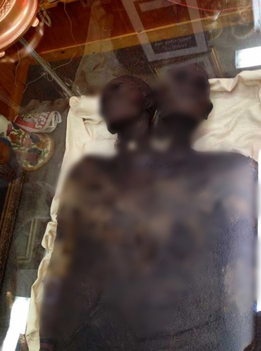 Một thời gian sau, thuyền trưởng người Anh George Bickle biết đến câu chuyện về xác ướp Kap Dwa nên đã tìm cách đánh cắp thi thể người khổng lồ trên rồi mang về Anh. Sau đó, xác ướp của ông lưu lạc khắp nơi, bao gồm xuất hiện trong các hội chợ.