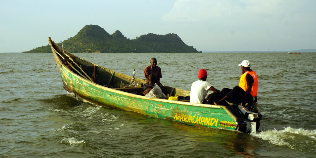 Hồ Victoria là nơi sinh sống của hơn 200 loài cá, trong đó có cá rô phi là quan trọng nhất về mặt kinh tế.