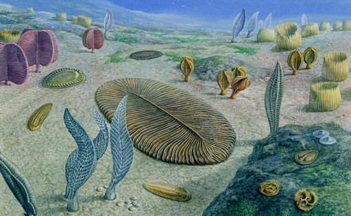 Các nhà nghiên cứu cũng cho biết đã tìm được bằng chứng giúp làm sáng tỏ nguyên nhân dẫn đến sự kiện tuyệt chủng này. Hồ sơ địa chất cho thấy dấu hiệu suy giảm nồng độ oxy trong đại dương vào khoảng thời gian trên.