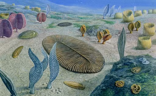 Các nhà nghiên cứu cũng cho biết đã tìm được bằng chứng giúp làm sáng tỏ nguyên nhân dẫn đến sự kiện tuyệt chủng này. Hồ sơ địa chất cho thấy dấu hiệu suy giảm nồng độ oxy trong đại dương vào khoảng thời gian trên.