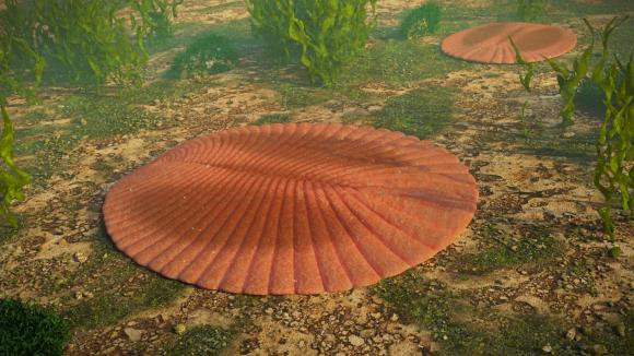 Theo nhóm nghiên cứu, nhân loại có thể đang ở giữa sự kiện tuyệt chủng lớn lần thứ 7. Điều này xuất phát từ việc các chuyên gia phát hiện, vàothời kỳ Ediacaran khoảng 550 triệu năm trước, 80% sự sống trên hành tinh xanh đã bị xóa sổ do một loạt thay đổi của môi trường.