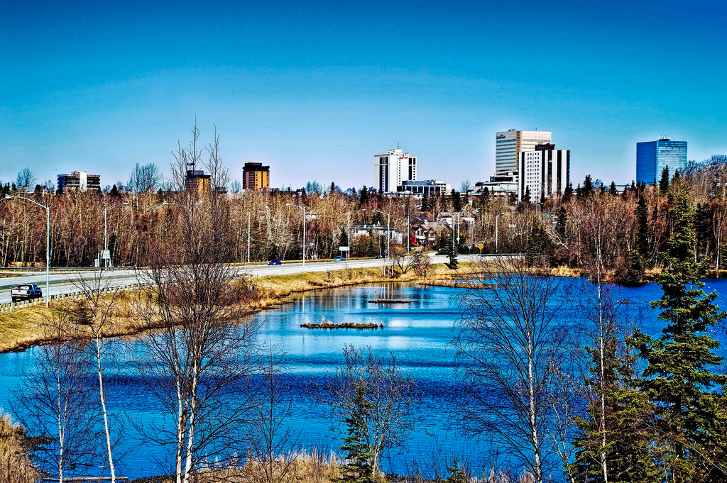 Thêm nữa, vào năm 1865, cuộc nội chiến ở Mỹ kết thúc. Cuộc chiến này đã cướp đi sinh mạng của hàng trăm ngàn người và gây thiệt hại về kinh tế lớn. Công cuộc tái thiết đất nước sẽ mất khá nhiều thời gian. Do vậy, một số quan chức, lãnh đạo doanh nghiệp Mỹ phản đối việc mua lại Alaska trong bối cảnh kinh tế đất nước không phải đang ở thời kỳ thịnh vượng.