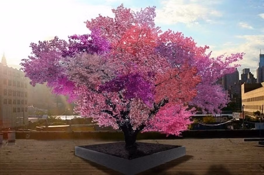 Nhờ vào phương pháp ghép cành điêu luyện, con người đã tạo ra thành công loại cây cho ra 40 thứ quả khác nhau trong cùng một mùa 