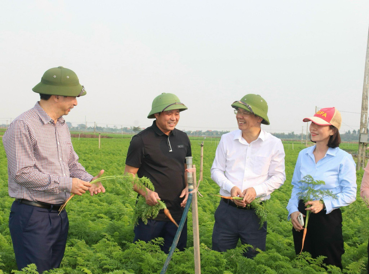 De Hai Duong phat trien xung tam: Vuot kho khan, thach thuc, tao dot pha-Hinh-3