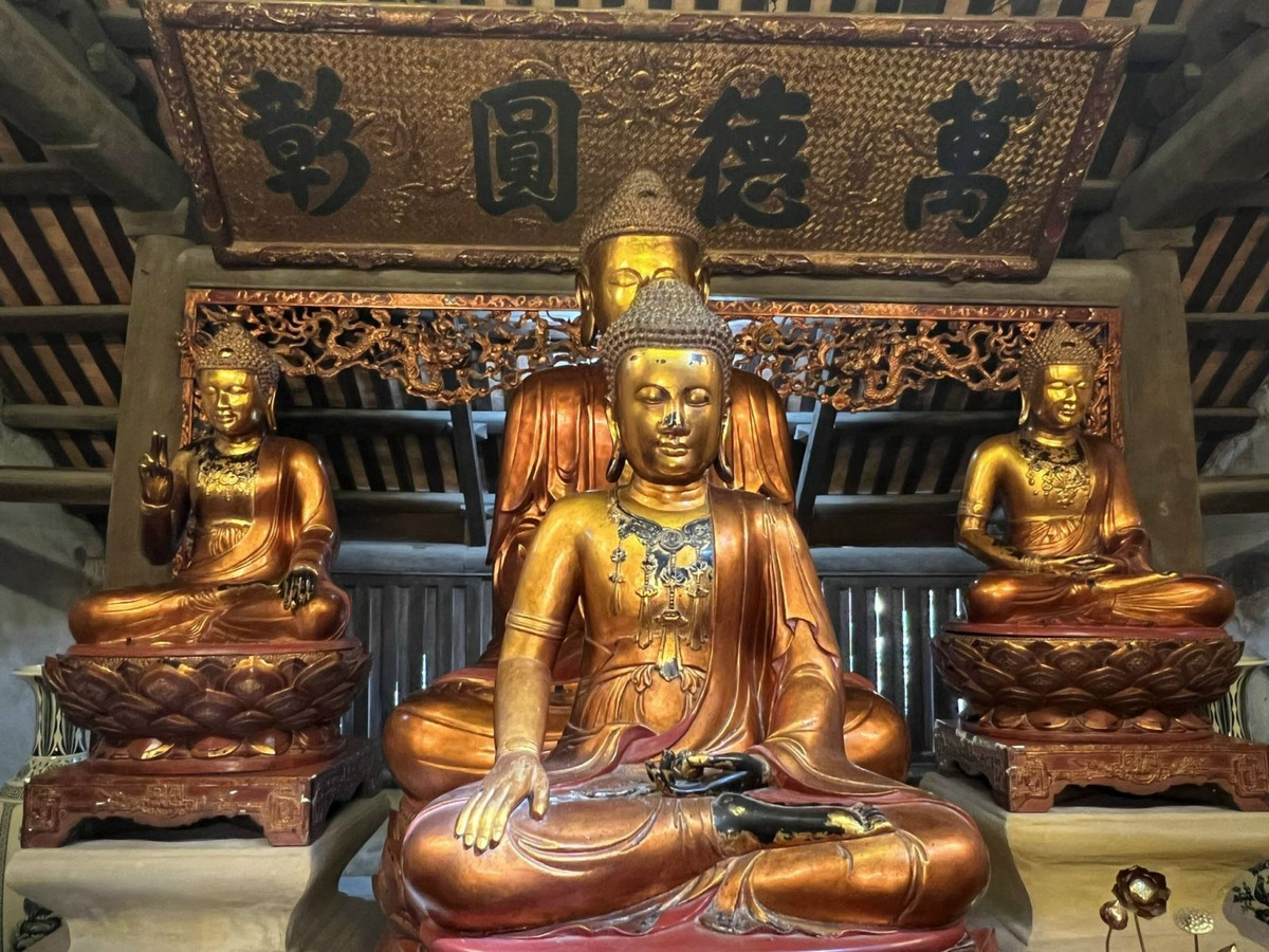 Danh sach 29 bao vat quoc gia vua duoc cong nhan