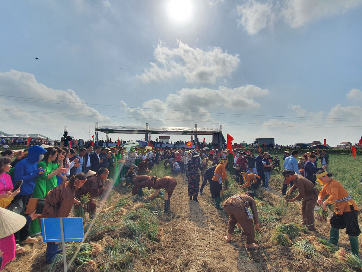 Bo truong Le Minh Hoan: Hai Duong can nang tam gia tri nong san-Hinh-4