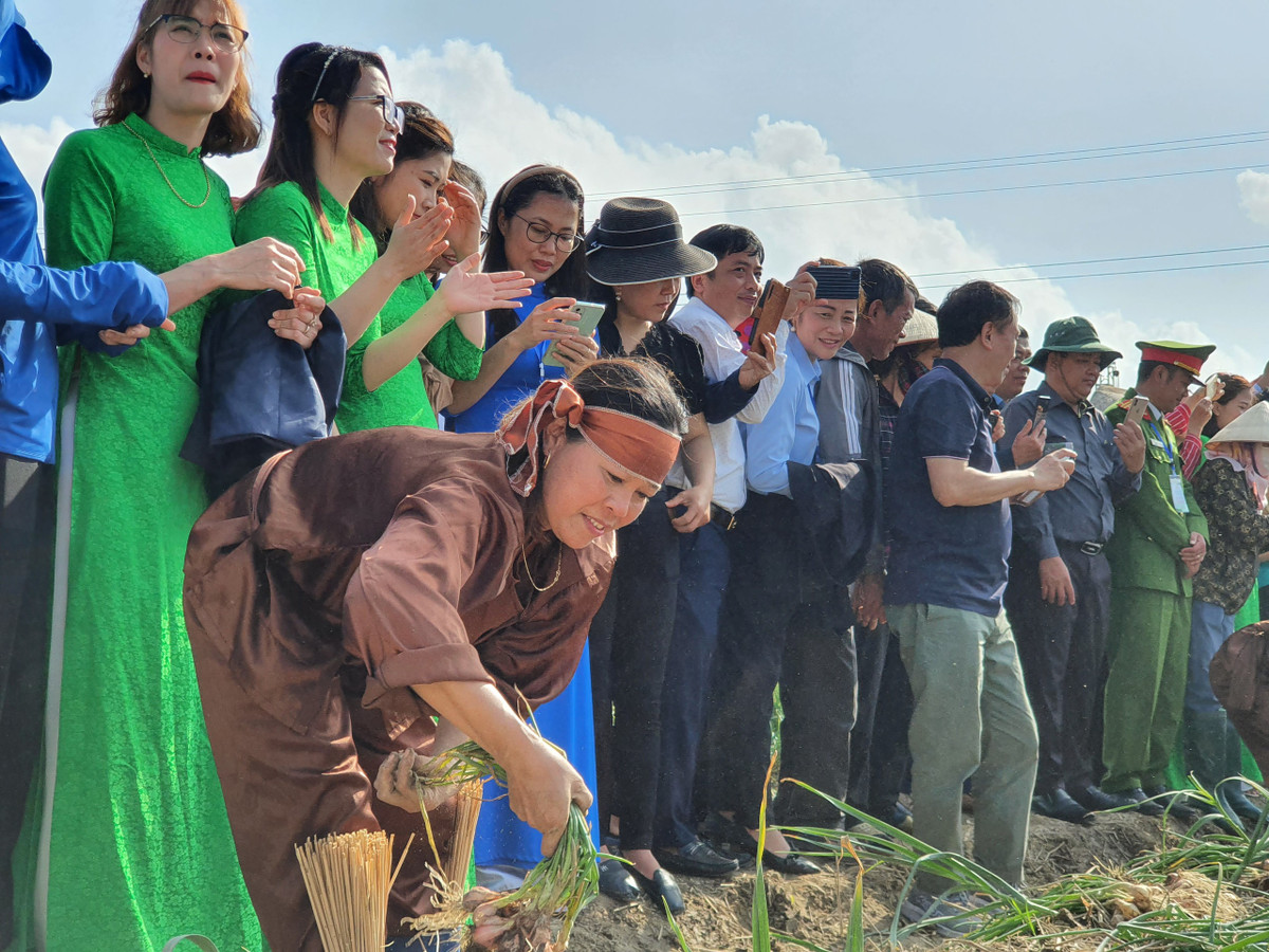 Bo truong Le Minh Hoan: Hai Duong can nang tam gia tri nong san-Hinh-7