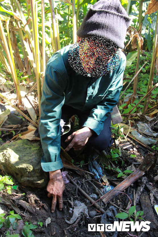 ‘Vuong quoc’ cua loai lon rung an hien nhu ma tren noc nha Dong Duong-Hinh-5