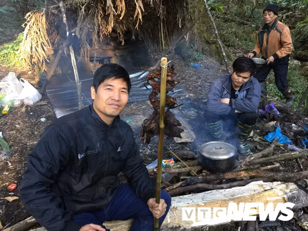 ‘Vuong quoc’ cua loai lon rung an hien nhu ma tren noc nha Dong Duong-Hinh-3