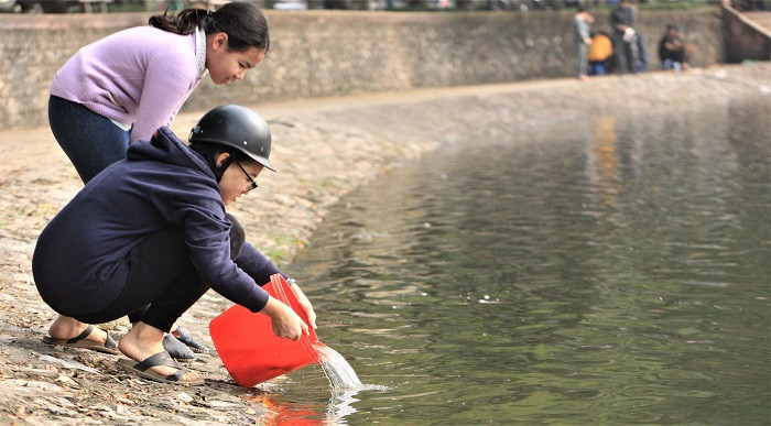 Để tránh việc thả túi ni-long xuống hồ, nhiều người dân cẩn thận để cá vào xô, chậu để mang ra thả.