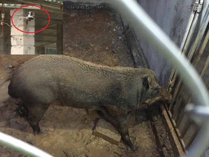 Am anh thuc pham ban, 9x startup voi mo hinh 