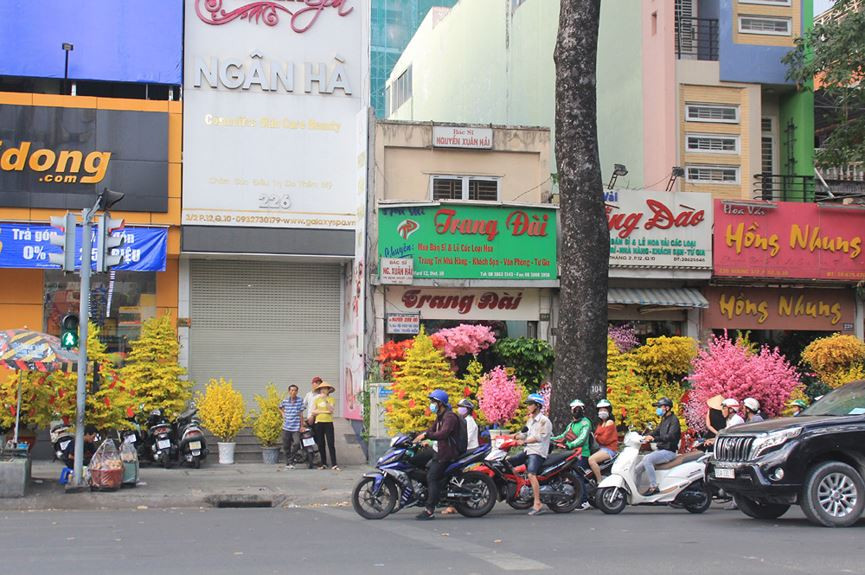 Tuyến đường Ba tháng Hai (quận 10) những ngày này thêm rực rỡ sắc hoa, tô điểm sắc xuân trong những ngày giáp Tết Nguyên đán.