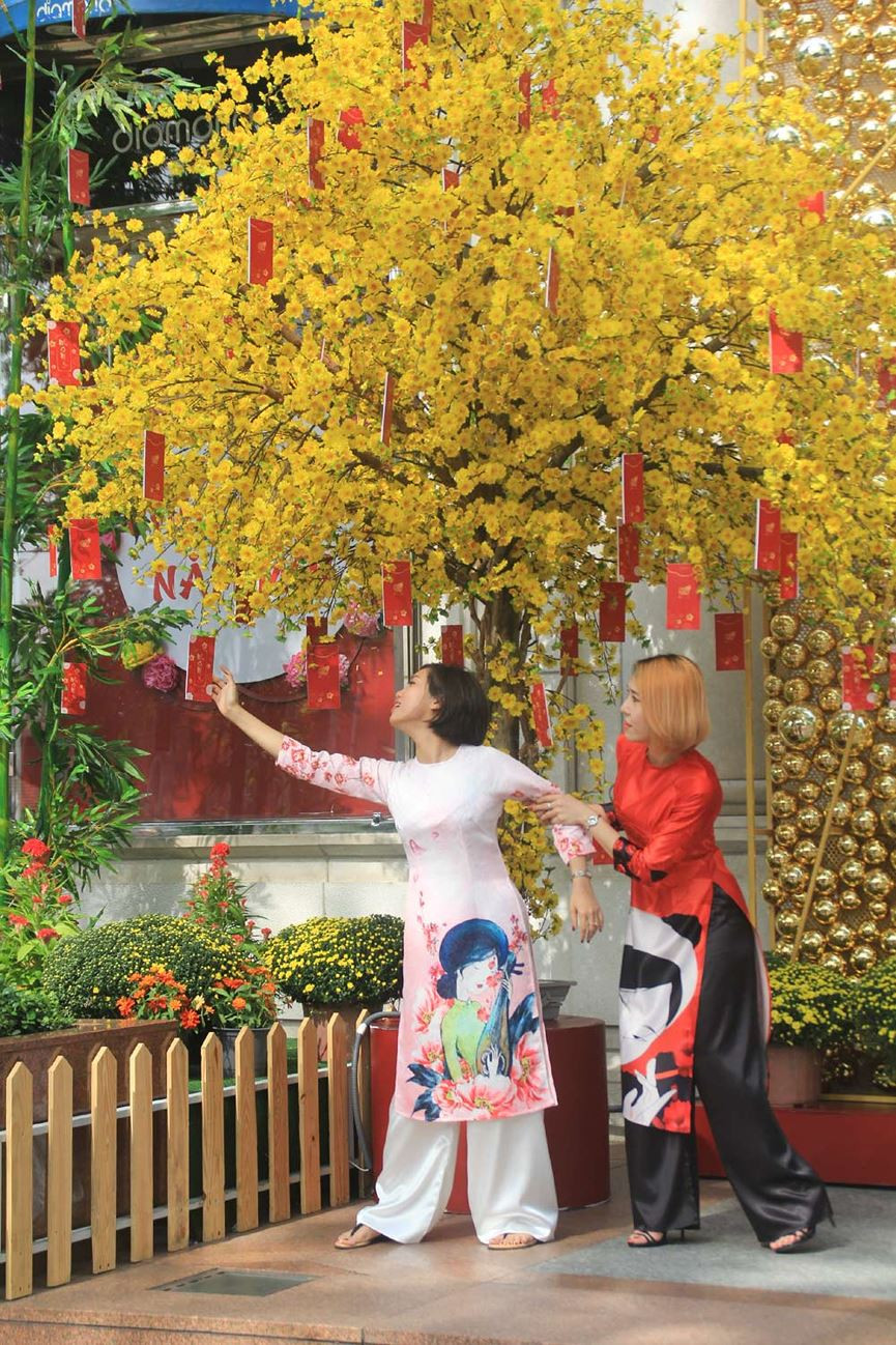 Đôi bạn tạo hình nghịch ngợm bên tán mai rực rỡ.