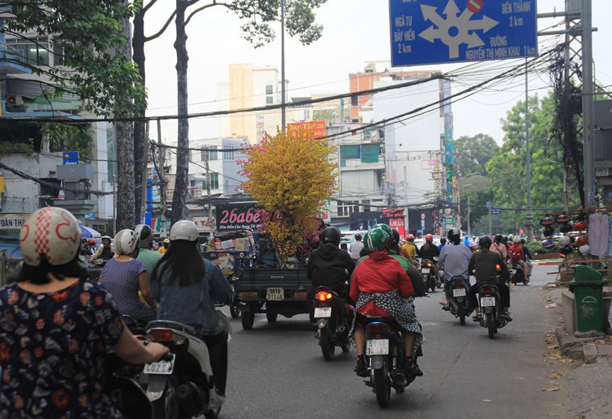 Người dân bắt đầu mang hoa về nhà để chưng Tết.