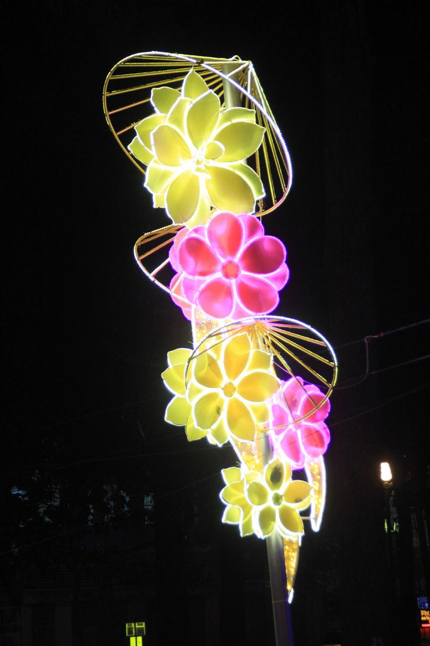 Cận cảnh một tiểu cảnh nhánh mai - đào xen kẽ sáng rỡ về đêm