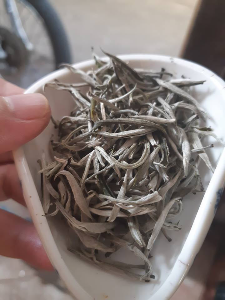 Sợ thực phẩm bẩn, dân thành phố săn sản vật rừng đón tết - Hình 4 So thuc pham ban, dan thanh pho san san vat rung don tet-Hinh-4