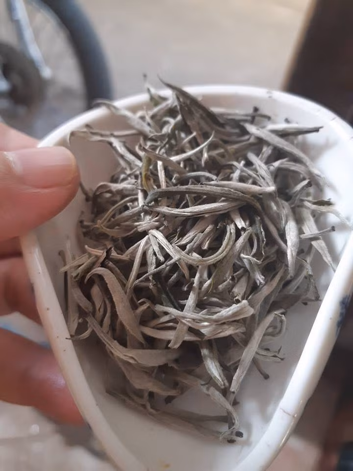 Sợ thực phẩm bẩn, dân thành phố săn sản vật rừng đón tết - Hình 4 So thuc pham ban, dan thanh pho san san vat rung don tet-Hinh-4