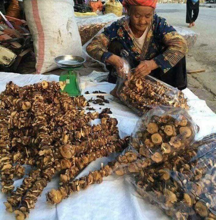 Sợ thực phẩm bẩn, dân thành phố săn sản vật rừng đón tết So thuc pham ban, dan thanh pho san san vat rung don tet