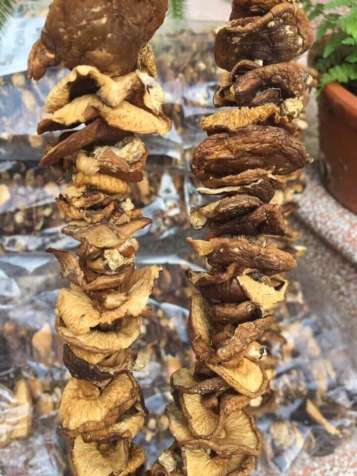 Sợ thực phẩm bẩn, dân thành phố săn sản vật rừng đón tết - Hình 5 So thuc pham ban, dan thanh pho san san vat rung don tet-Hinh-5