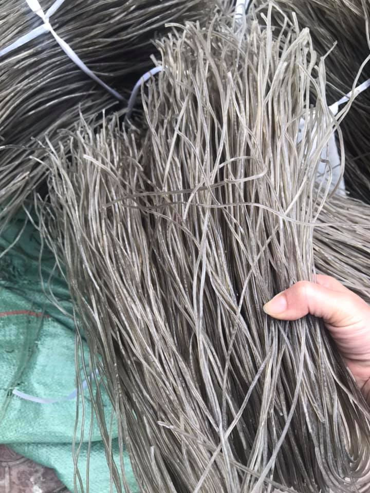 Sợ thực phẩm bẩn, dân thành phố săn sản vật rừng đón tết - Hình 6 So thuc pham ban, dan thanh pho san san vat rung don tet-Hinh-6