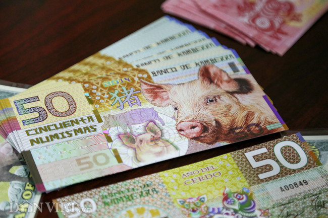 Tien 2 USD in hinh con heo dat nhu tom tuoi truoc Tet Ky Hoi 2019-Hinh-2