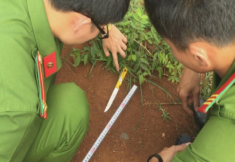 Doc gi hom nay 11/1: Triet pha bang giang ho Vu “bong hong“-Hinh-3