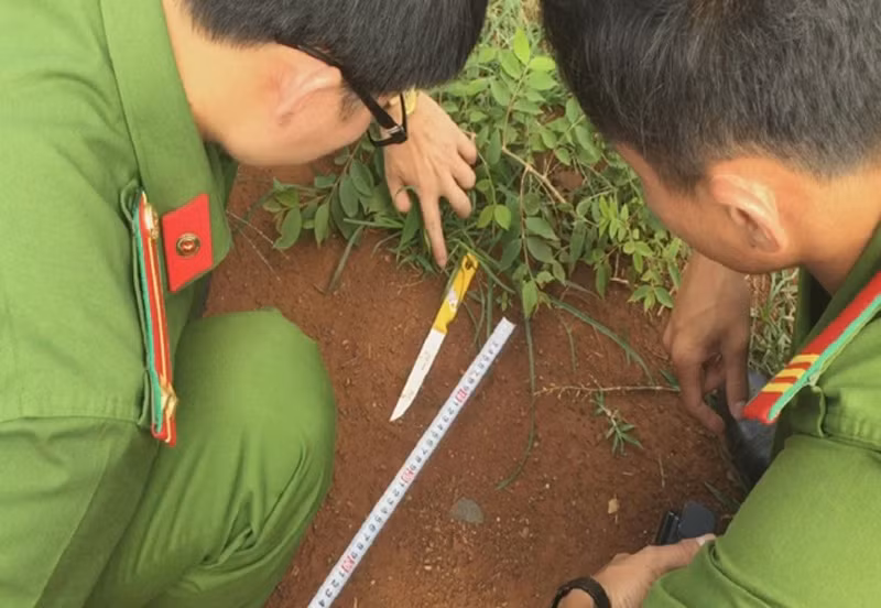 Doc gi hom nay 11/1: Triet pha bang giang ho Vu “bong hong“-Hinh-3