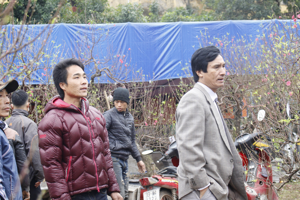 Anh Nguyễn Văn Đông (áo đỏ) – Chủ vườn đào Biển Đông cho biết vườn nhà mình có đầy đủ các loại đào để phục vụ mọi nhu cầu của người dân như: Đào bích, đào rừng, đào lũa gốc mục, đào mini dáng bonsai, đào ta 5 cánh….