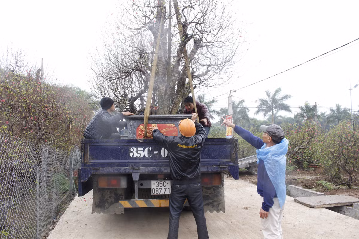 Anh: Nguoi dan trong dao Van Tao tat bat cho Tet Ky Hoi 2019-Hinh-8