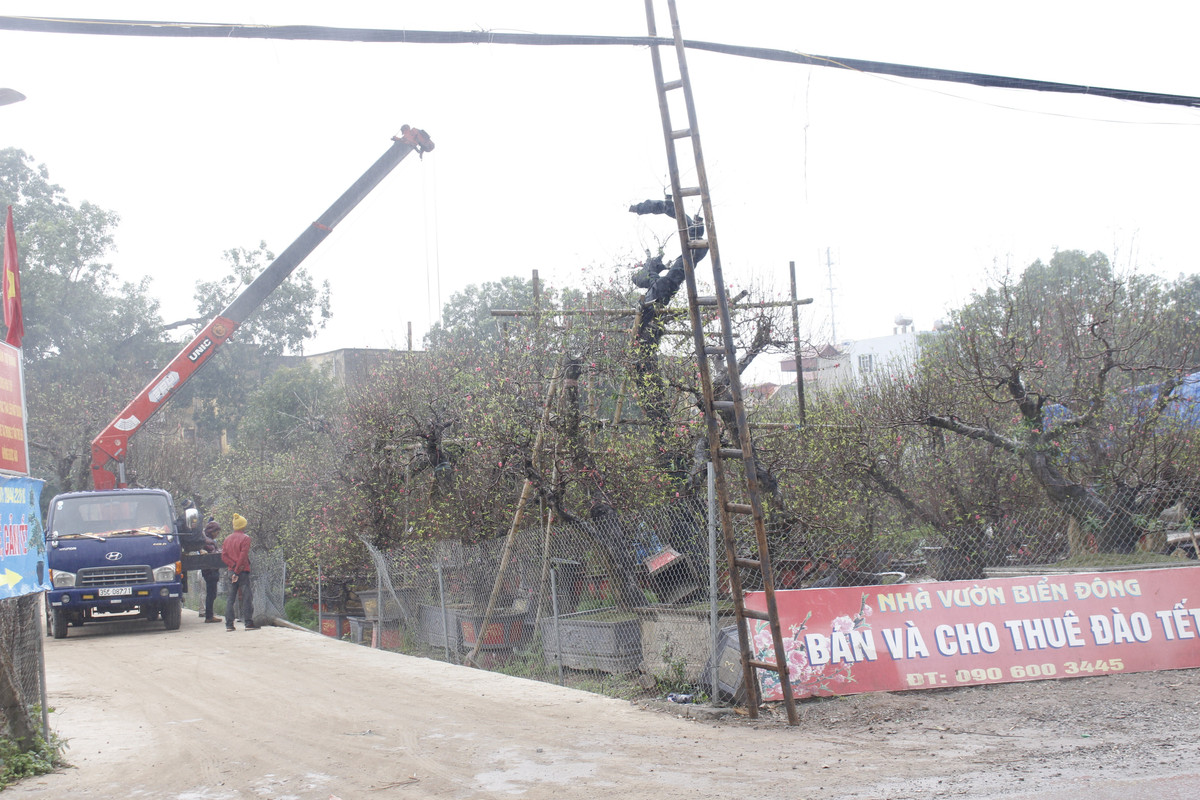 Những ngày cận Tết Kỷ Hợi 2019, xe cộ tấp nập ra vào các vườn hoa tại Vân Tảo.