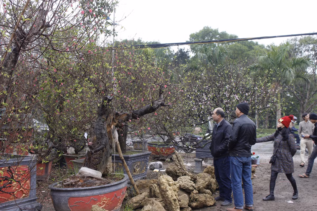 Anh: Nguoi dan trong dao Van Tao tat bat cho Tet Ky Hoi 2019-Hinh-9
