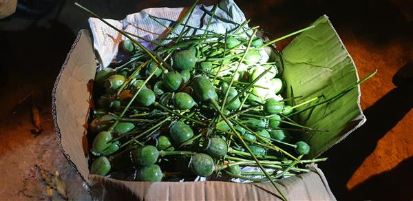 Doc gi hom nay 16/1: CSGT TPHCM chi co mot can bo sai pham nam 2018-Hinh-3