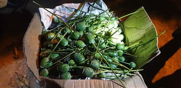 Doc gi hom nay 16/1: CSGT TPHCM chi co mot can bo sai pham nam 2018-Hinh-3