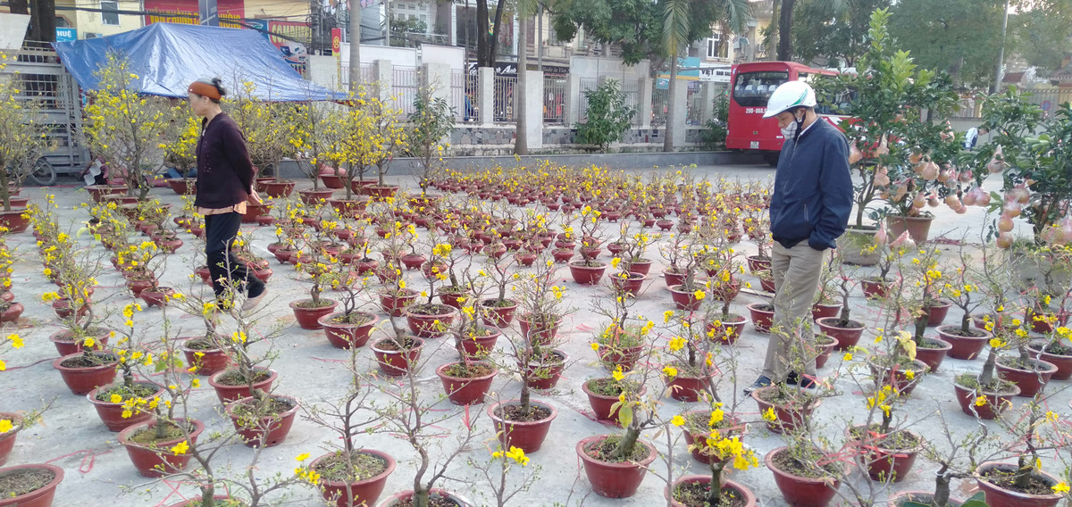 Mức giá được đánh giá ở mức trung bình nên nhiều người dân rất hưởng ứng.