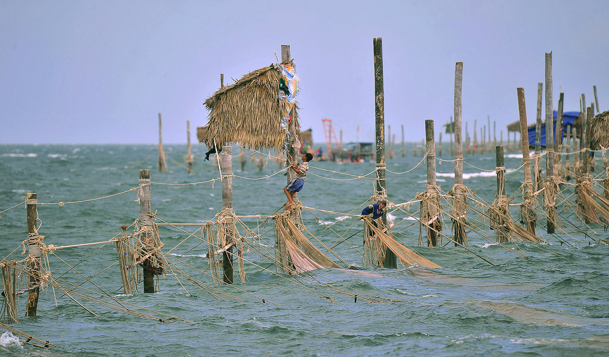 Sau khi cắm cột đáy vào đúng vị trí, công đoạn cuối cùng là dùng dây thừng buộc cố định cột. Khối lượng cây gỗ nặng, việc chắp nối phải cần sự hỗ trợ của thiết bị cẩu xích. Công đoạn nối cây cũng kỳ công và vất vả, nào là dùng ống sắt cố định hai đầu cây nối, nêm gỗ, đổ bê tông, lắp keo…