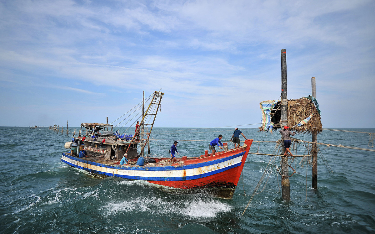 Anh Hùng, một bạn chòi có thâm niên làm nghề, đã lão luyện trong những bước di chuyển của mình chia sẻ về những ngày đầu tiên làm nghề. Anh rất run để đi trên dây, nhất là khi biển sóng lớn.
