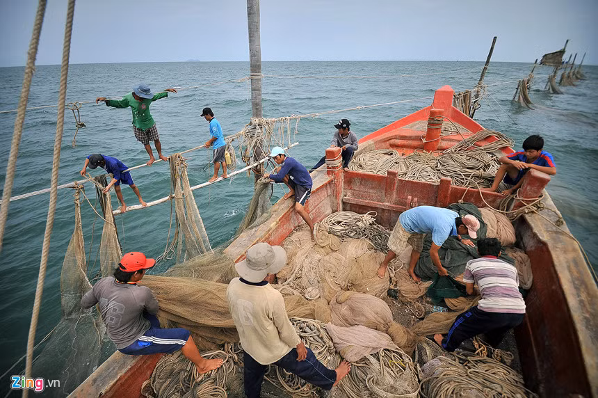 Có 2 nhóm lao động: Nhóm 1 đi theo ghe vận chuyển ruốc, cá, tôm đánh bắt được từ biển vào đất liền, sau đó trở ra biển mang theo lương thực, nước uống cho nhóm lao động thứ 2, đó là những bạn chòi - những người canh giữ đáy và trông con nước để quyết định buông đáy hay kéo đáy.