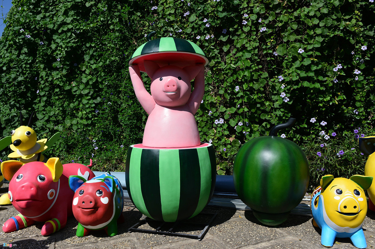 Sau khi xịt keo bóng ở công đoạn cuối cùng, các chú heo với nhiều kích cỡ, hình dáng, biểu cảm, màu sắc khác nhau được phơi nắng, đến ngày mang ra đường hoa sẽ được bố trí thành từng cụm.