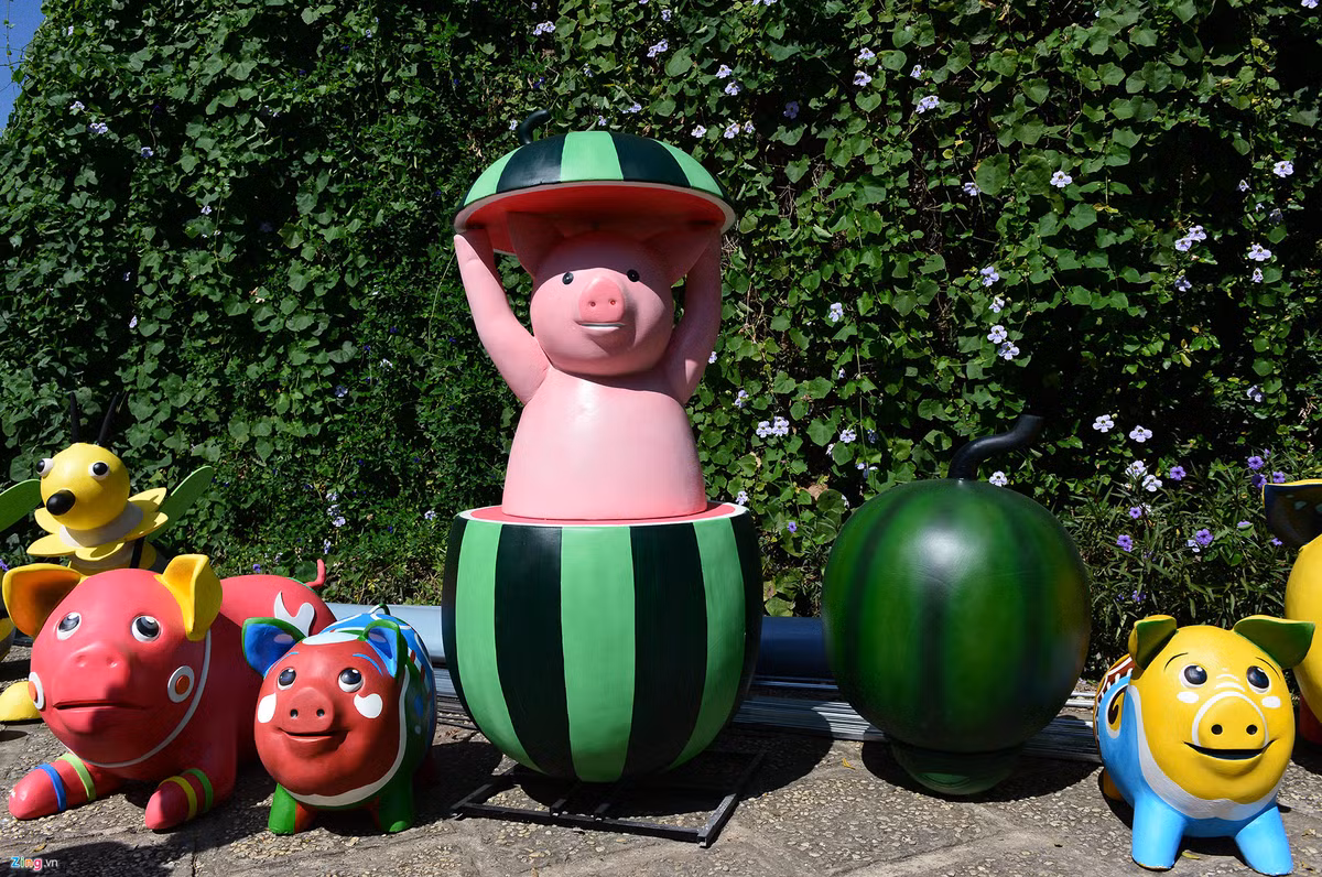 Sau khi xịt keo bóng ở công đoạn cuối cùng, các chú heo với nhiều kích cỡ, hình dáng, biểu cảm, màu sắc khác nhau được phơi nắng, đến ngày mang ra đường hoa sẽ được bố trí thành từng cụm.