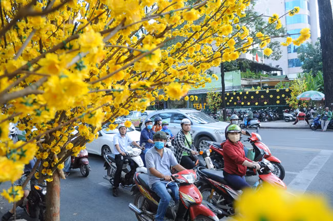 Pho ong Do vang ruc, thu hut gioi tre den 