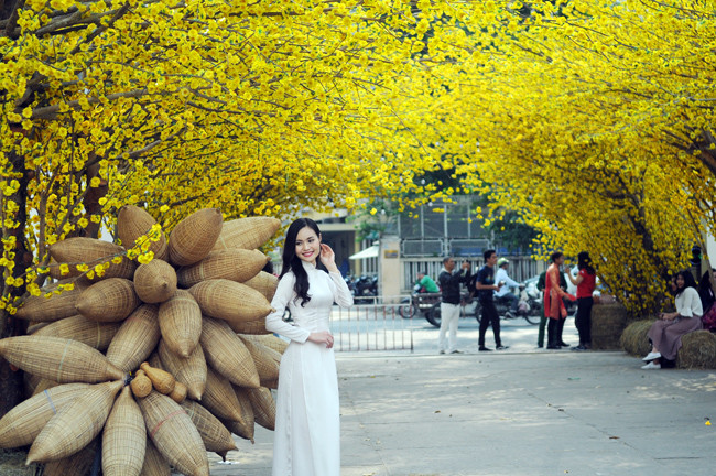 Các cô gái trẻ trong tà áo dài truyền thống, tạo dáng bên gốc mai vàng khoe sắc trong khung cảnh Tết xưa. 