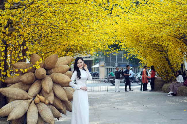 Pho ong Do vang ruc, thu hut gioi tre den 