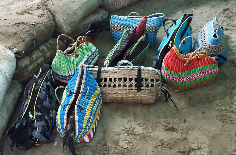 Tại hiện trường, công an tạm giữ 10 con gà chọi, 35 triệu đồng, 47 xe máy, 3 ôtô cùng nhiều tang vật phục vụ đá gà ăn tiền.