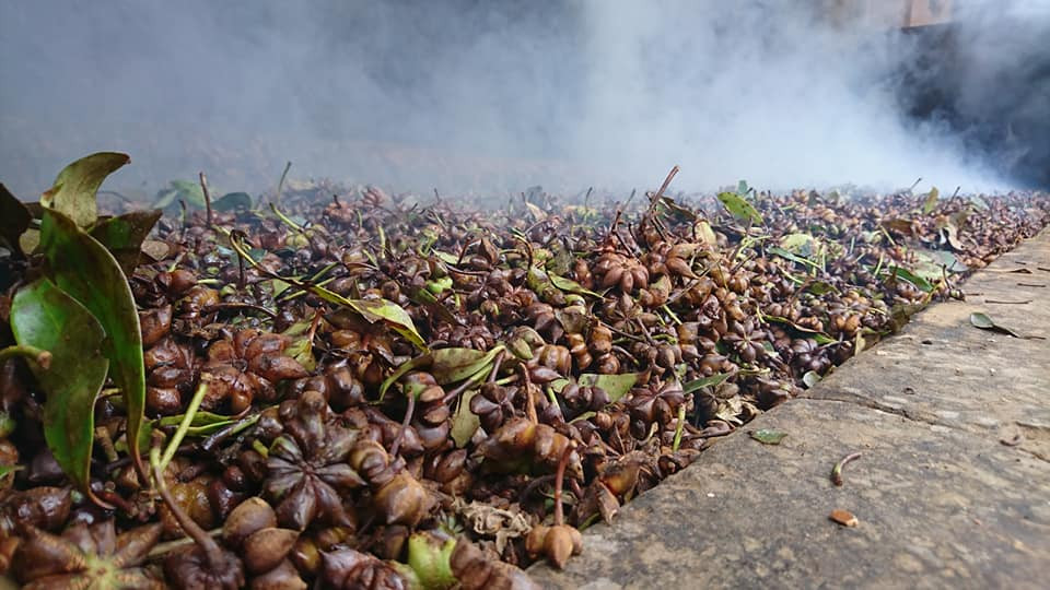 Để đảm bảo hoa hồi được sấy chất lượng chuẩn nhất.