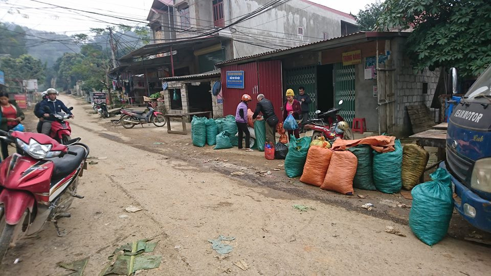 Thương lái thu mua suốt dọc đường.
