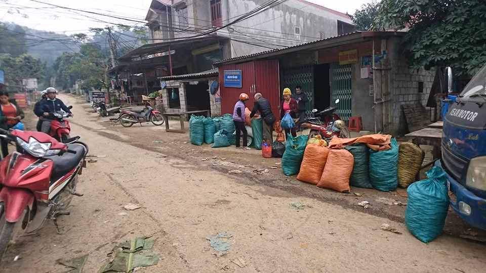 Thương lái thu mua suốt dọc đường.