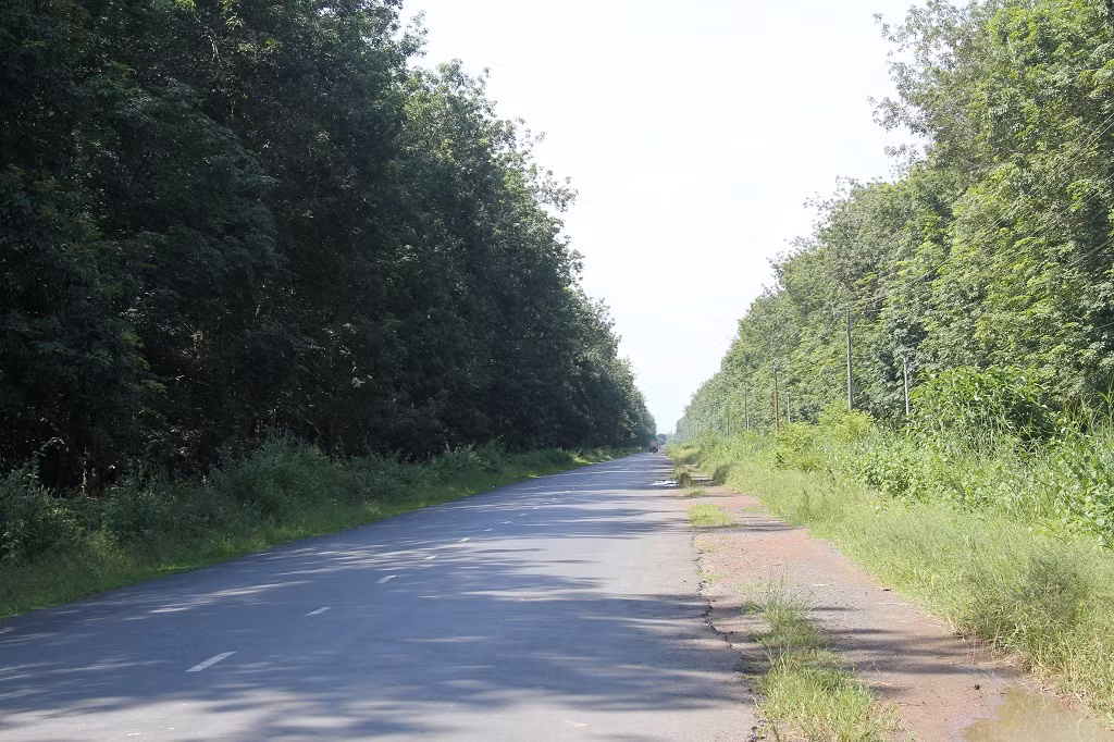 Toi ac PolPot: Ky uc kinh hoang ve“mien dat chet” bien gioi tay nam-Hinh-2