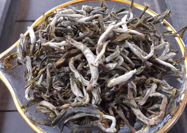 Doc dao nhung cay che khong lo 500 nam tuoi giua bien may Ta Xua-Hinh-8