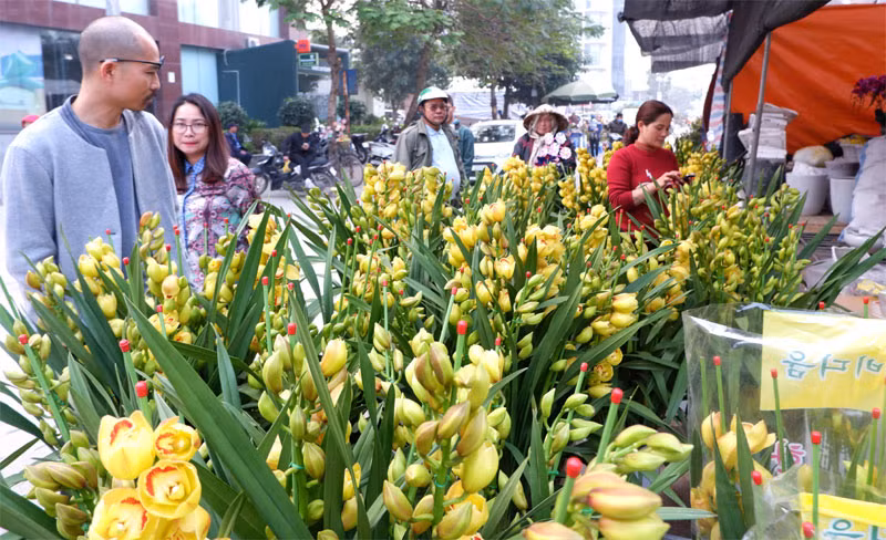 Anh: Tap nap cho hoa Tet Van Phuc-Hinh-7